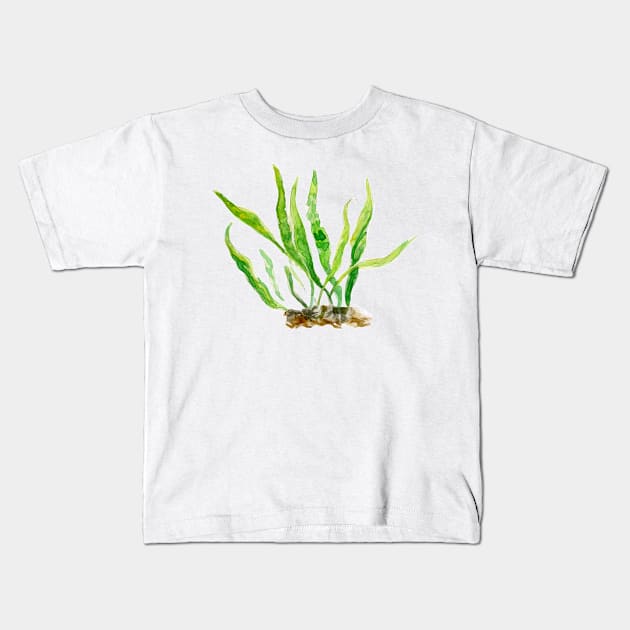 Aquarium Plants Series Java Fern Kids T-Shirt by yodelbat